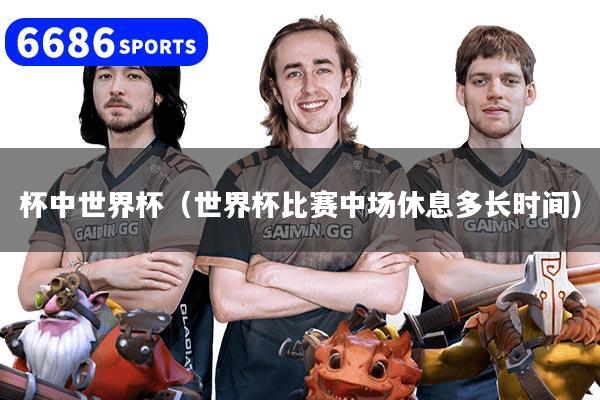 杯中世界杯（世界杯比赛中场休息多长时间）